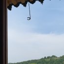 지윤샵 이미지