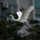 홍동면 학계마을회관 | 본관별로 다른 희귀 성씨의 역사적 비밀