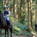 스테이동백 이미지