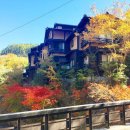 도라도라 이미지