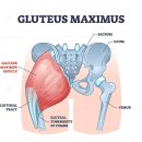 PT의 정석 운동재활센터 이미지