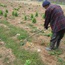 낙안농장 이미지