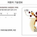 버블린