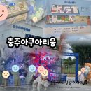 네오리안 인터렉티브 | 충주아쿠아리움/무료관람 내륙 아쿠아리움, 인터렉티브 월, 낚시놀이, 야외미니동물원, 작지만 알차다