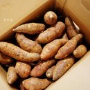 서아농장 이미지