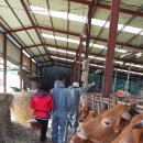 거창-거창-11 이미지