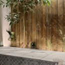 스치로다 이미지