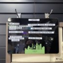 청주앙마 | 청주 성안길 피어싱 앙마피어싱 귓바퀴 이너컨츠 뚫은 후기/관리 방법
