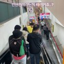 (주)부방유통이마트안양점 | 롯데마트 땡큐절 / 이마트 쓱데이 후기 (쓱데이 다신안가)
