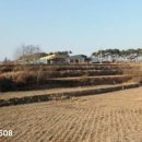 현덕 축구장 이미지