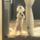 옹심이네살롱 이미지