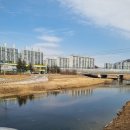 ㈜아이드라이브코리아 | 쌍안경추천 탐조쌍안경 사파리쌍안경 니콘쌍안경PROSTAFFP38X42 실사용 후기