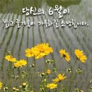 가현빌딩 이미지