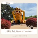 대왕암공원2(용놀이터) | 울산 아이랑 가볼 만한 곳 울산 동구 대왕암공원 용놀이터 / 숲 놀이터