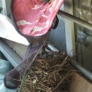 수락 농장 이미지