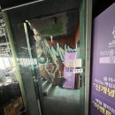하이롤러울산
