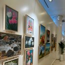 아쿠아필드 고양 이미지