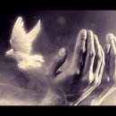 &#39;기도&#39;, 제대로 하면 보이지 않던 것들이 보이기 시작합니다. 이미지