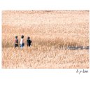 벌교생태공원 이미지