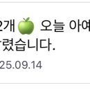 🍏계정 2개 지그재그 10명 구함! 글 아예 처음 써🍏 이미지