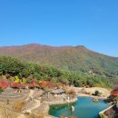 삼성궁 이미지