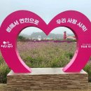 행복꽃농원 Daum카페