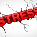 뒷골1로 이미지