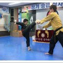 용인대 한얼 태권도 이미지