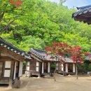 남한산성토종닭 이미지