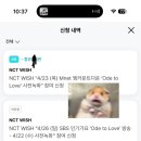투머치러브 | 260422 엔시티위시 Ode to love 오드투러브 엠카 새벽 사녹 다녀왔지요 뚜-뚜루뚜 💓