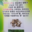 오가피한방국밥