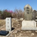 춤추는꽃동네 | 천주산 진달래 축제, 천주암 코스