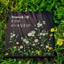 커리아트홈 이미지