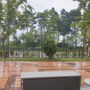 수원-0412 이미지