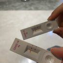 우리일층약국 네이버블로그