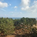 [CS강의]동해시시설관리공단_신유희강사