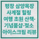 동양목장 | 평창 삼양목장, 사계절 힐링 여행｜초원 산책·기념품샵·젖소 아이스크림 리뷰