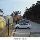 포항시 청하면 "펜션" 대1,786㎡/건463㎡ 12억8천만 이미지