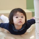 예블리