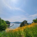 도산면보건지소 | 경북 안동 퇴계 예던길 1코스 선성수상길~전망대 트래킹