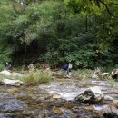 꿈꾸는유배지늡다리 이미지