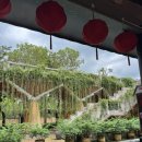 (유)바나힐 이미지