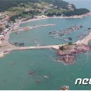 공공용 21 뉴스1