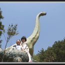 계룡산자연사박물관 이미지