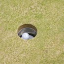 마로니에 미니골프 이미지