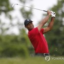 우즈골프투어