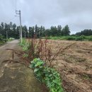 서광리-1 이미지