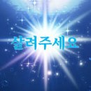 양준상의원 후기 및 SIBO, 기능성 위장장애 1)치료전 증상과 몸 상태