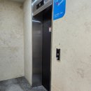 더레지아B 이미지