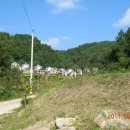 사미정민박 이미지